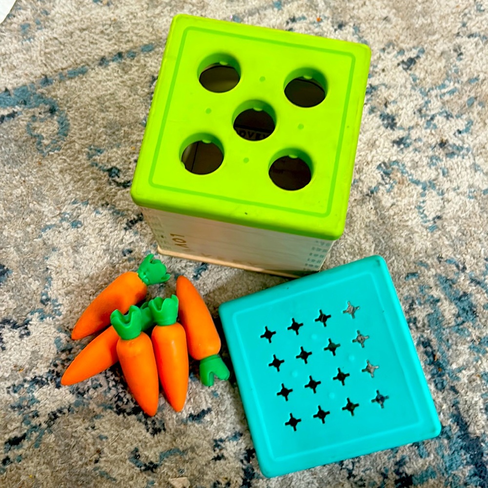 Love Every carrot counting toy